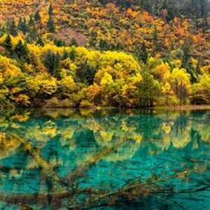 Tour du lịch Cửu Trại Câu – Mâu Ni Câu – Thành Đô 5 ngày 4 đêm