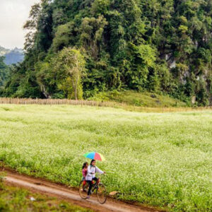 Tour Mộc châu 2 ngày nghỉ lễ - Khách sạn Mường Thanh